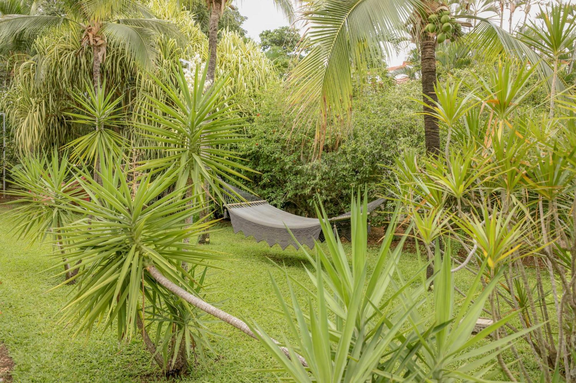 Hotel Villa Del Sol Coco Eksteriør bilde